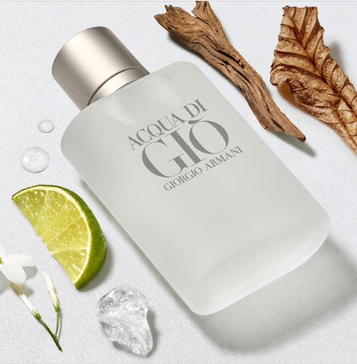 ARMANI ACQUA DI GIO’ 100ML