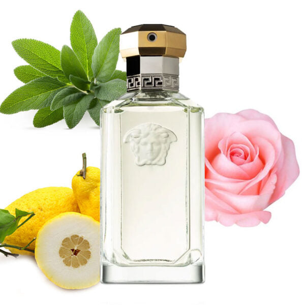 VERSACE THE DREAMER 50ML EAU DE TOILETTE