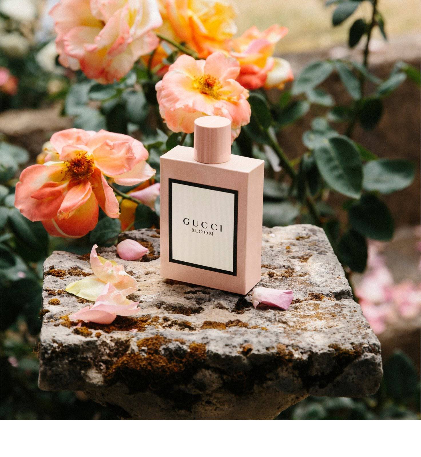 GUCCI BLOOM EAU DE PARFUM 100ML