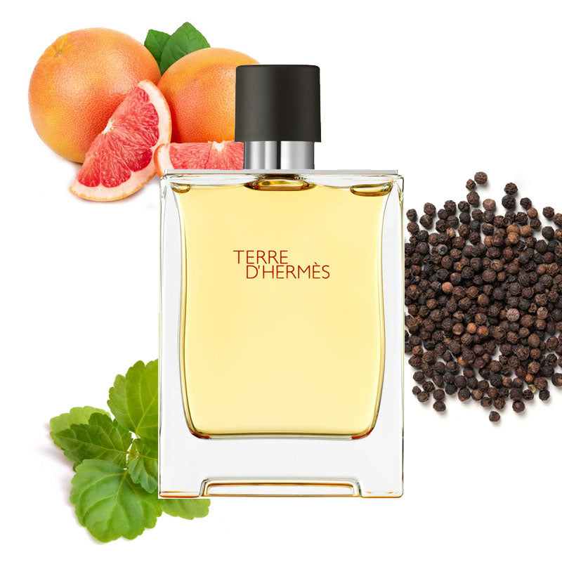 TERRE D’HERMES EAU DE TOILETTE 100ML