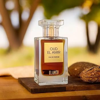 ELAMIR OUD EL AMIR EAU DE PARFUM 100ML
